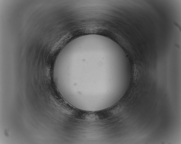 X0000103400258200809261627