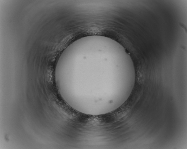 X0000103400259200809261627