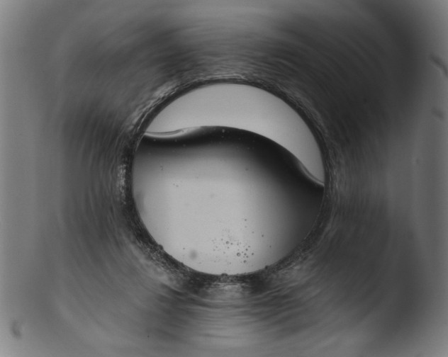 X0000103400260200809261627