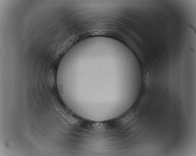 X0000103400261200809261627