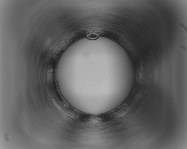 X0000103400263200809261627