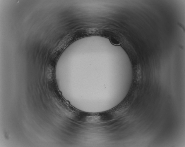 X0000103400266200809261627