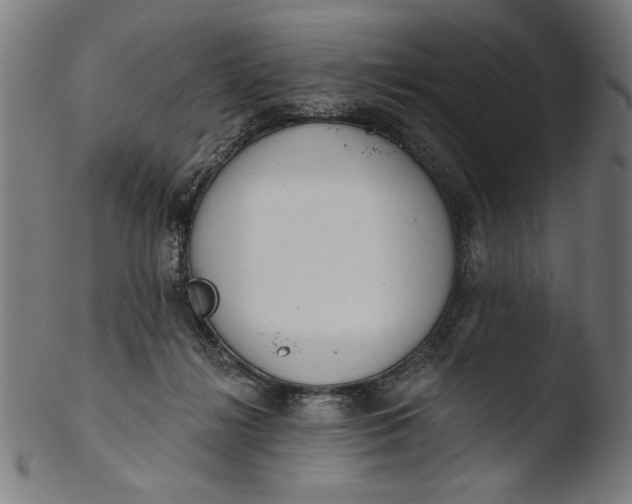 X0000103400268200809261627