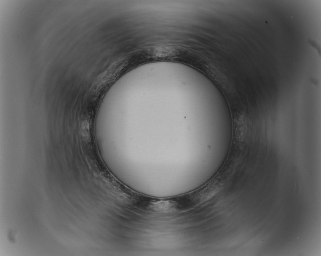 X0000103400269200809261627