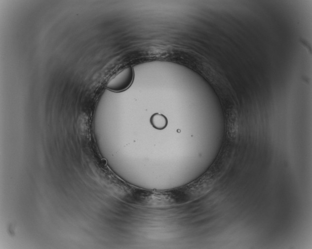 X0000103400270200809261627