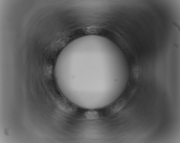 X0000103400271200809261627