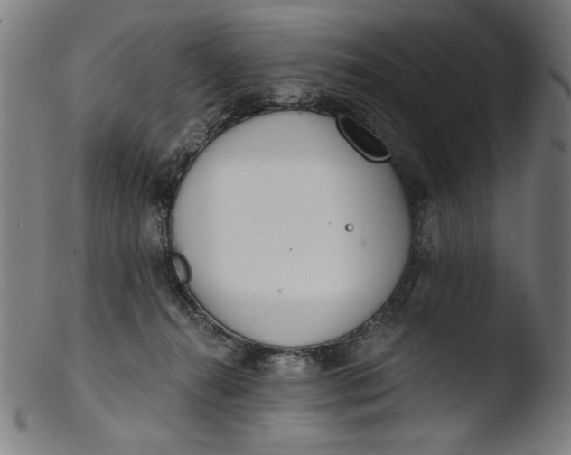 X0000103400272200809261627