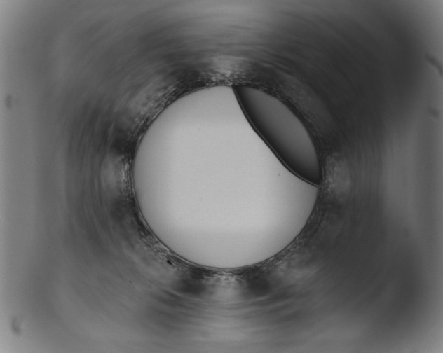 X0000103400276200809261627