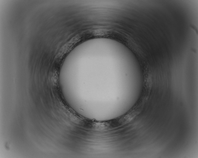 X0000103400277200809261627