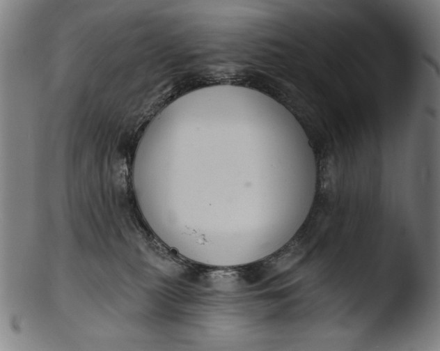 X0000103400279200809261627