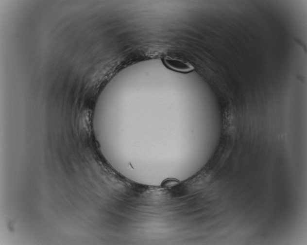 X0000103400280200809261627