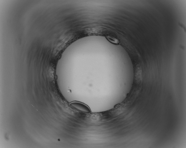 X0000103400282200809261627