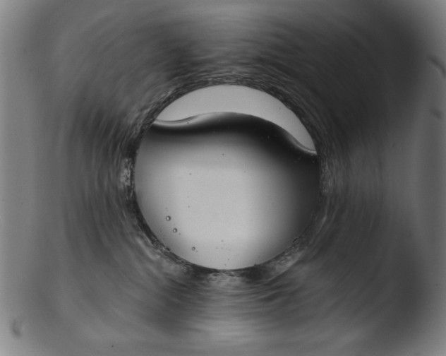 X0000103400284200809261627