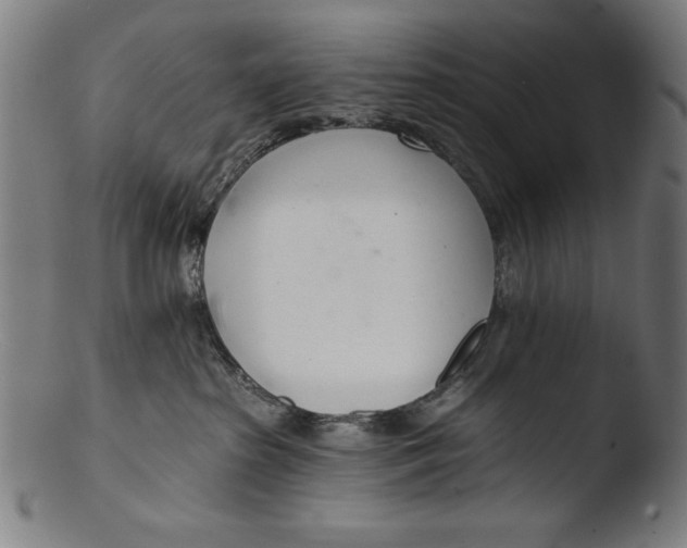 X0000103400285200809261627