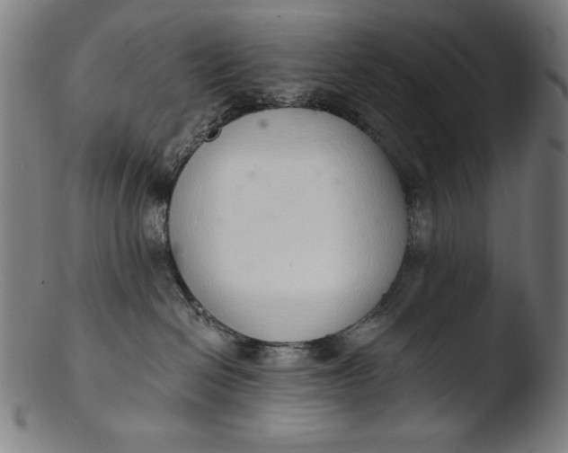 X0000103400286200809261627