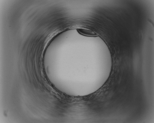 X0000103400289200809261626