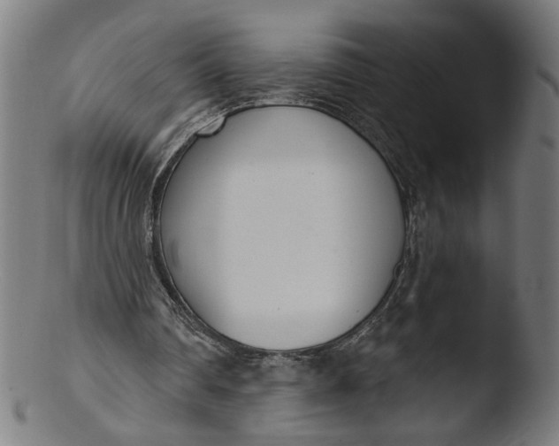 X0000103400290200809261626