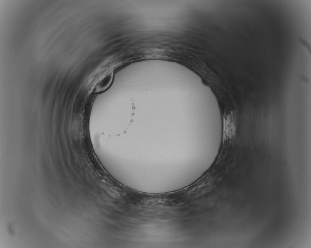 X0000103400291200809261626