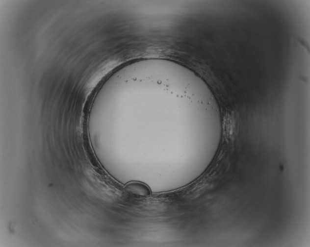 X0000103400292200809261626