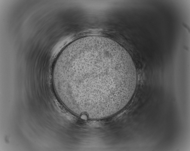 X0000103400293200809261626