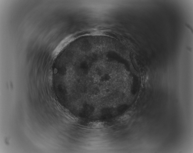 X0000103400295200809261626