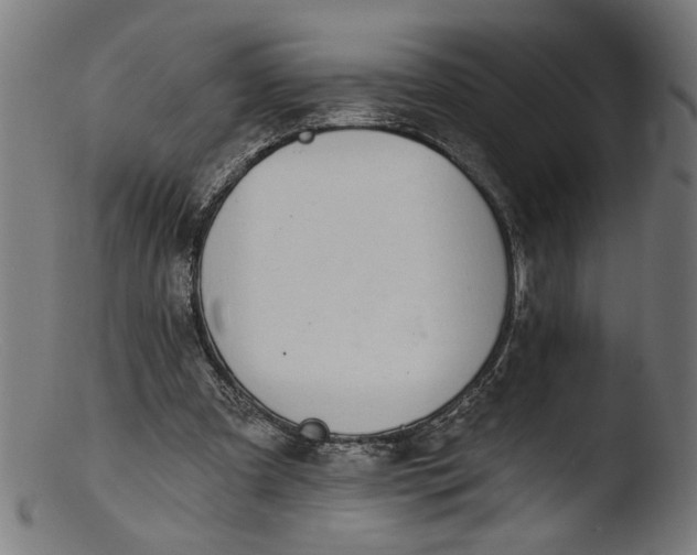 X0000103400297200809261626