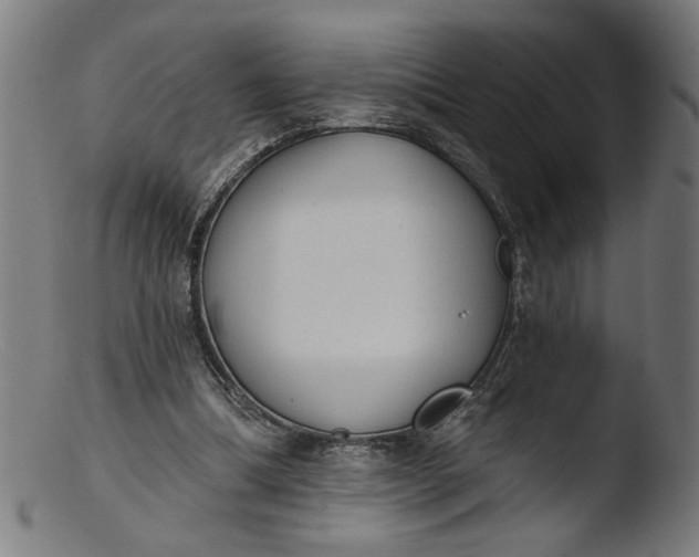 X0000103400298200809261626