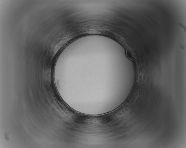 X0000103400299200809261626