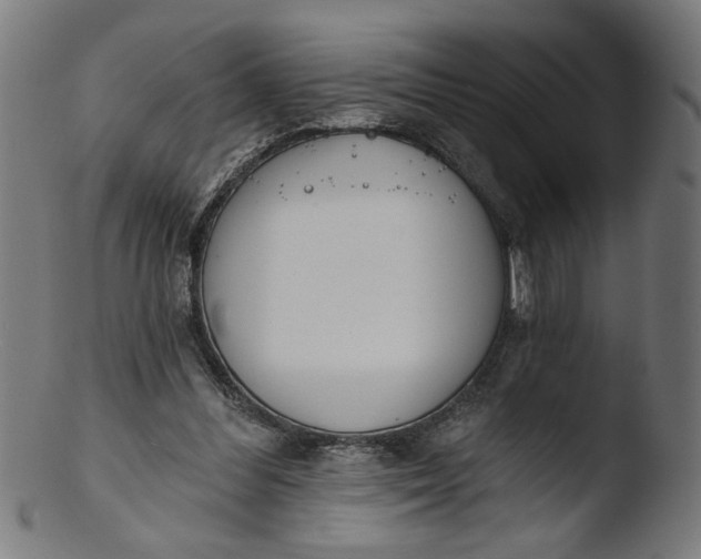 X0000103400300200809261626