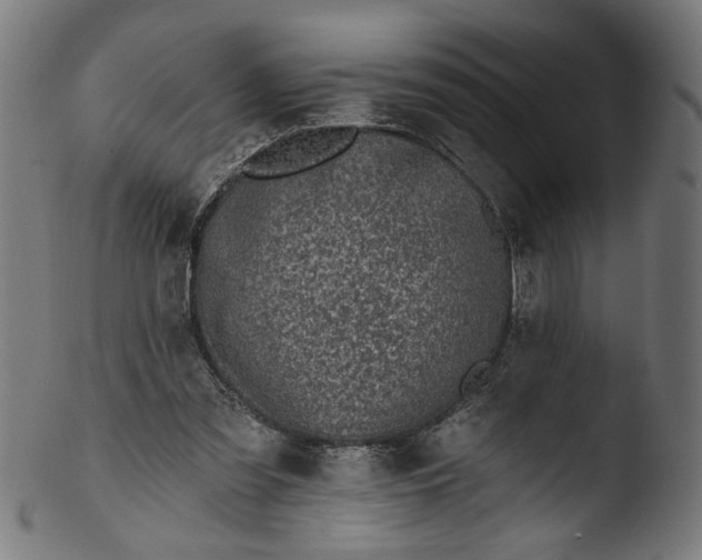 X0000103400301200809261626