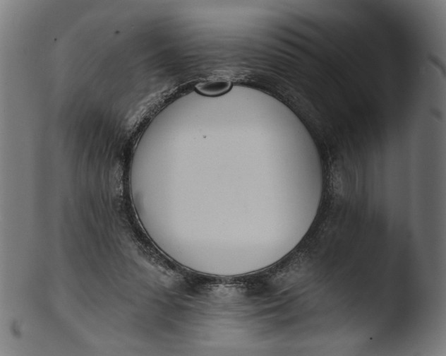 X0000103400303200809261626