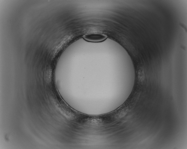 X0000103400304200809261626