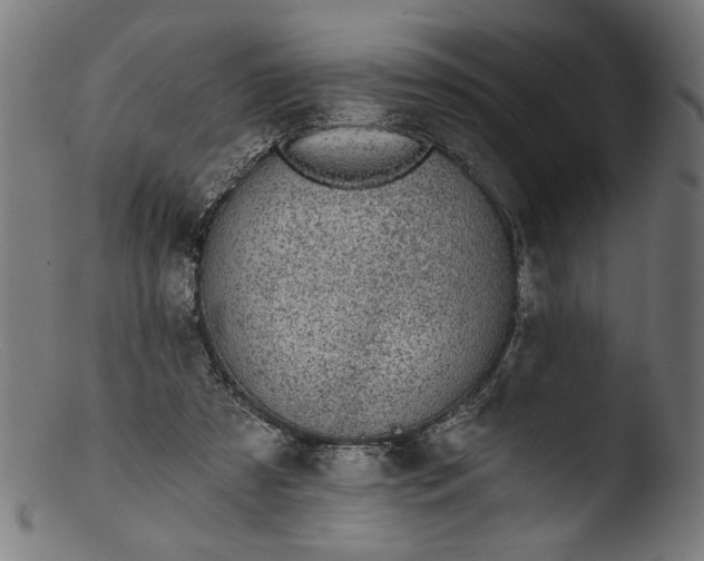 X0000103400305200809261626