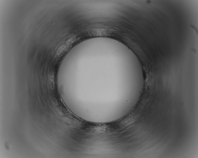 X0000103400306200809261626