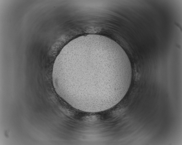 X0000103400307200809261626