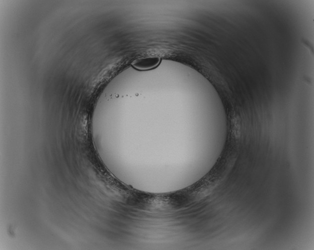 X0000103400308200809261626