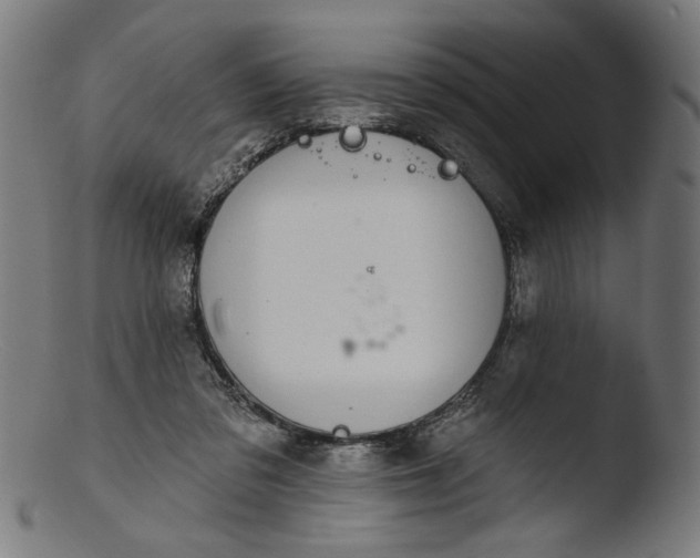 X0000103400309200809261626