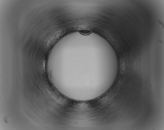 X0000103400310200809261626