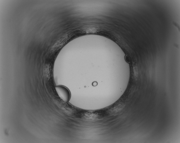 X0000103400311200809261626