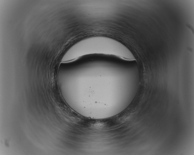 X0000103400312200809261626