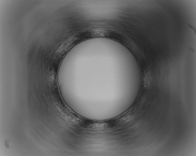 X0000103400314200809261626