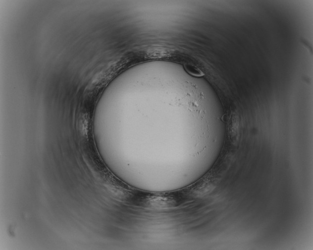 X0000103400315200809261626