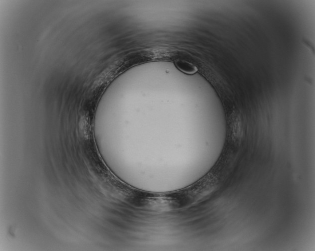 X0000103400316200809261626