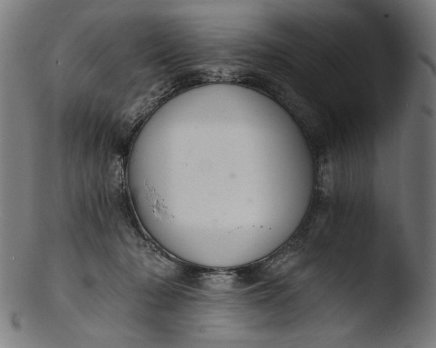 X0000103400318200809261626