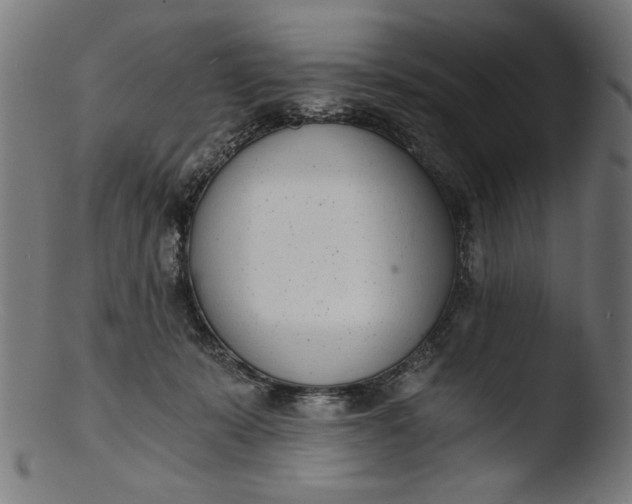 X0000103400319200809261626