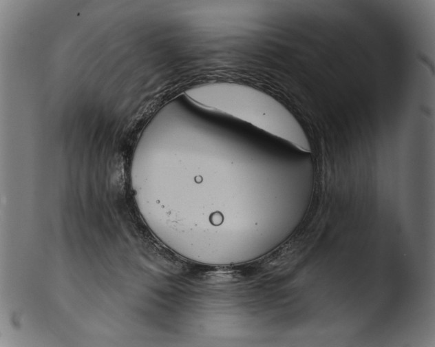 X0000103400320200809261626