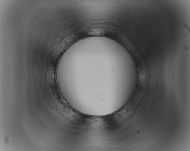 X0000103400322200809261626