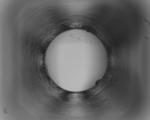 X0000103400323200809261626