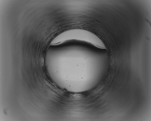 X0000103400324200809261626