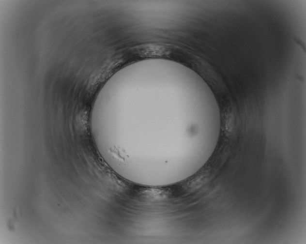 X0000103400326200809261626